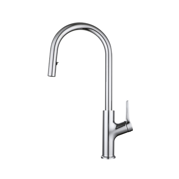 Brushed Nickel Ktichen Faucets