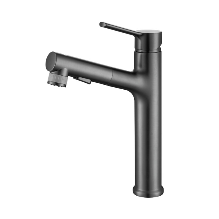 Pull-down Basin Faucets
