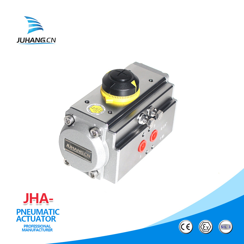 The performance and appearance of the pneumatic actuator(1)