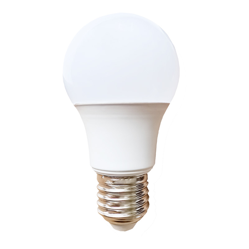 LED A60 Light Bulb