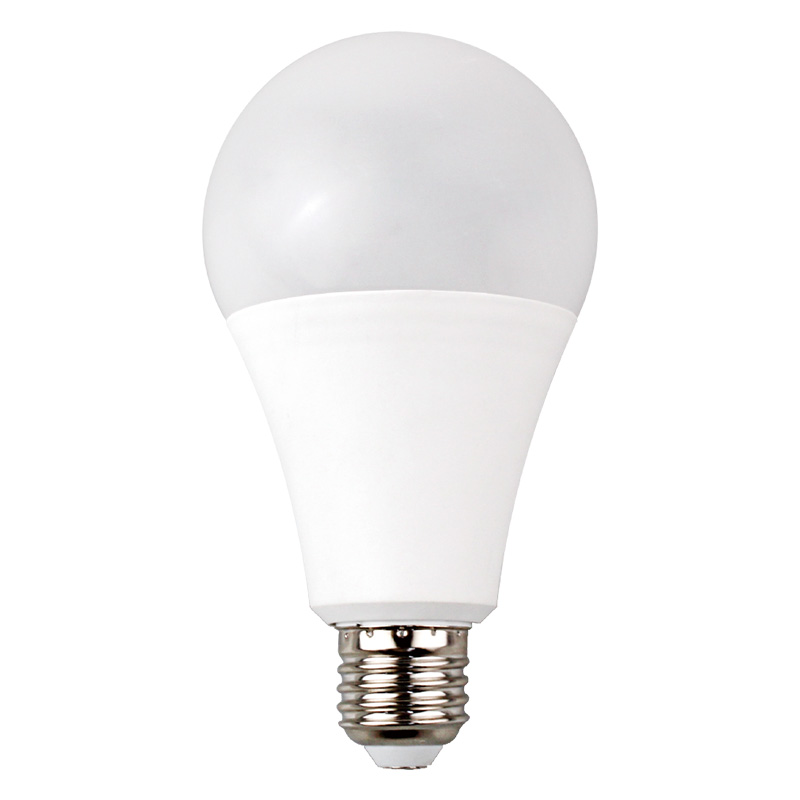 LED A80 Light Bulb