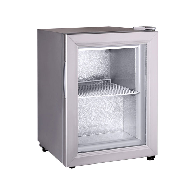 Mini congelatore da esposizione commerciale da 21 l