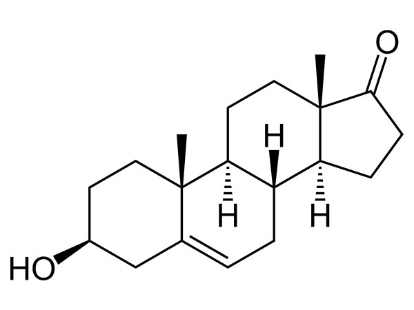 DHEA (Πραστερόνη)