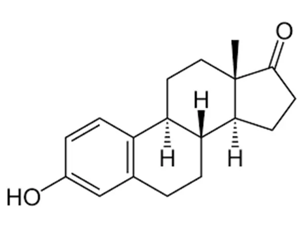 এস্ট্রোন