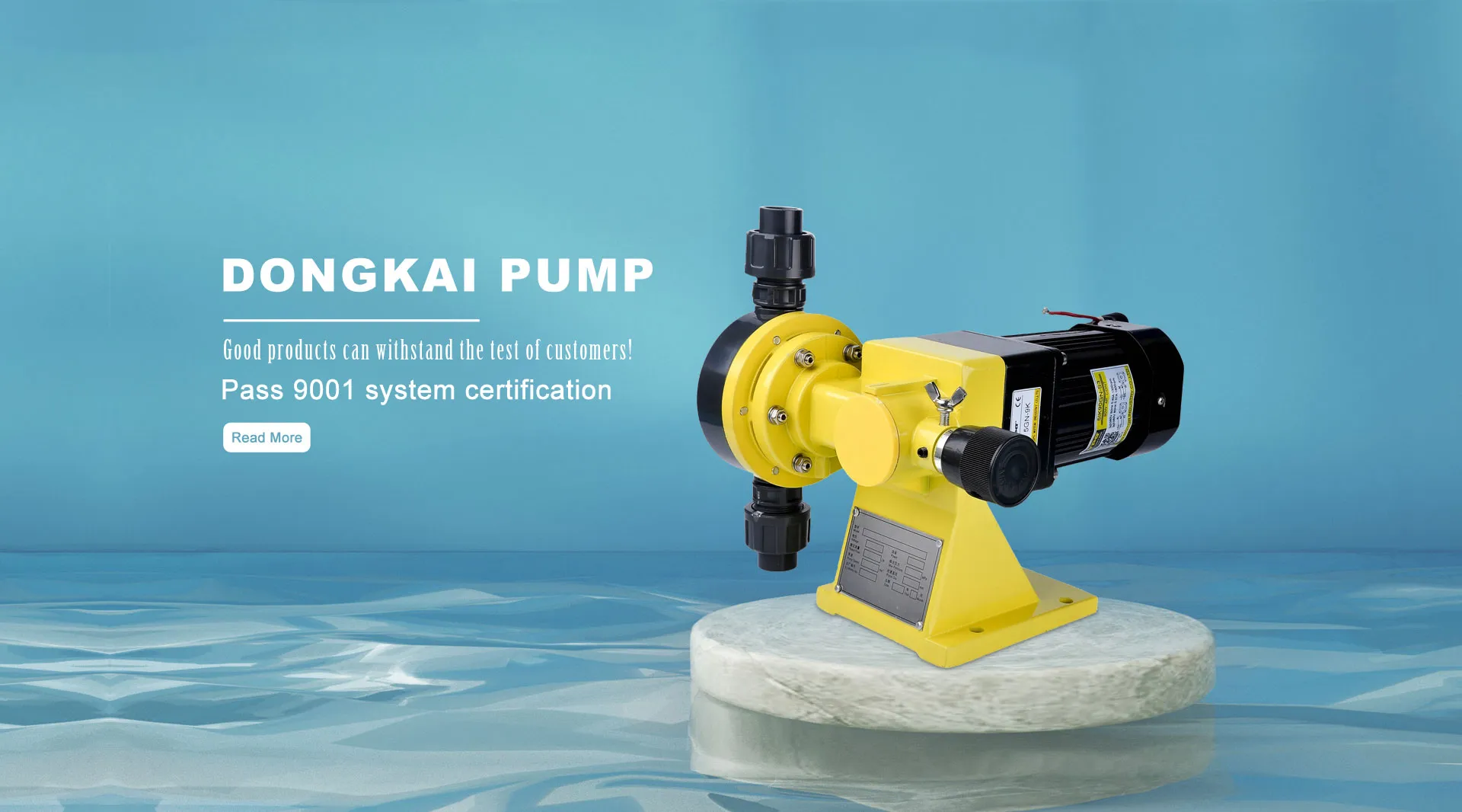 Dosing Pump