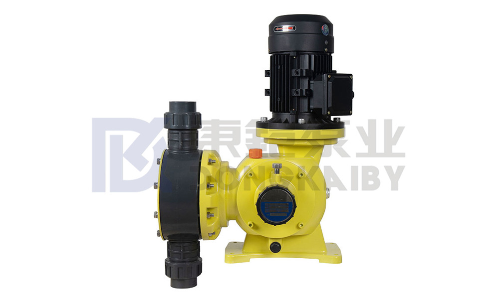  Structure and principle of the Mechanical diaphragm  metering pump