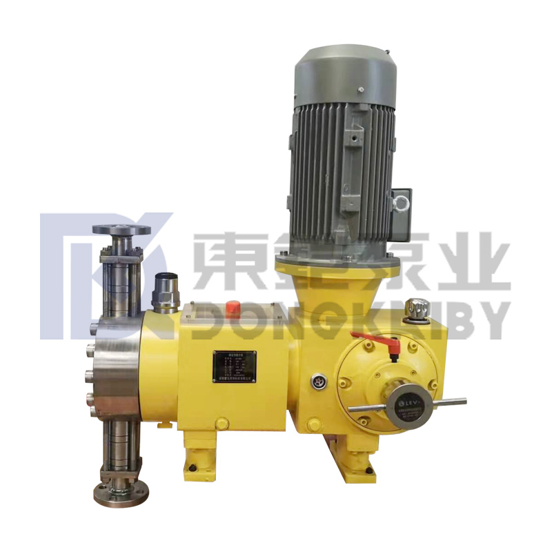 Oil & Gas China Hydraulic Diaphragm Metering Pump
