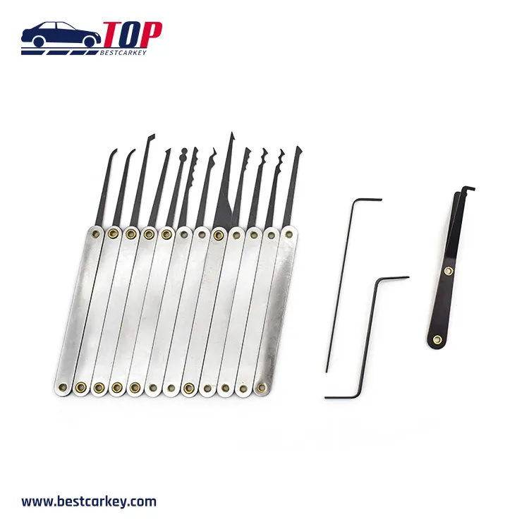 GOSO 12 Piece Lock Pick Set