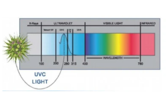 EVERYTHING YOU NEED TO KNOW ABOUT THE UVC LIGHT