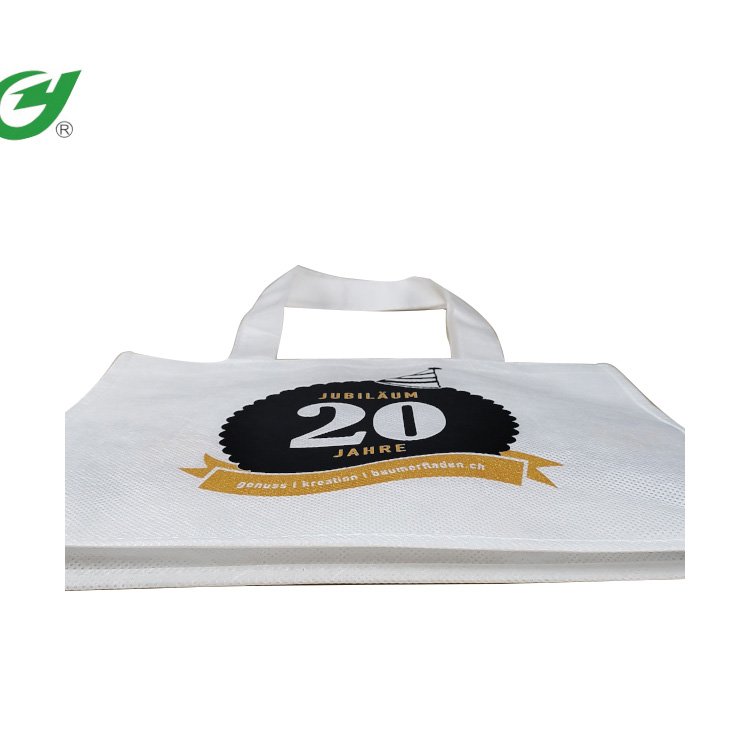 Biodegradowalna torba na prezent z włókniny PLA - 2