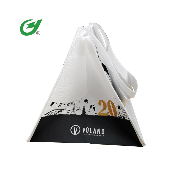 Biodegradowalna torba na prezent z włókniny PLA - 3