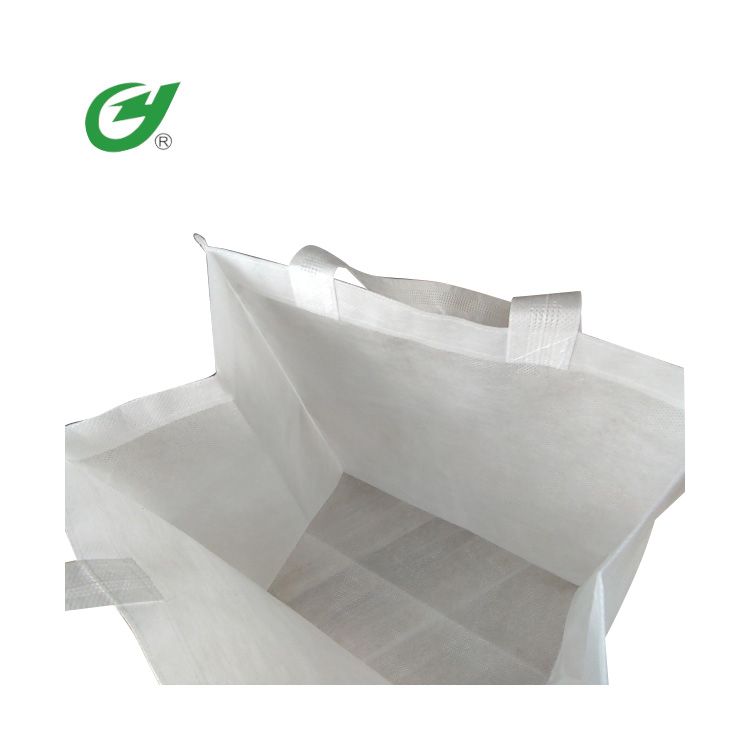 PLA Biodegradable Shopping Bag - 1