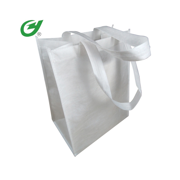 PLA Biodegradable Shopping Bag - 4