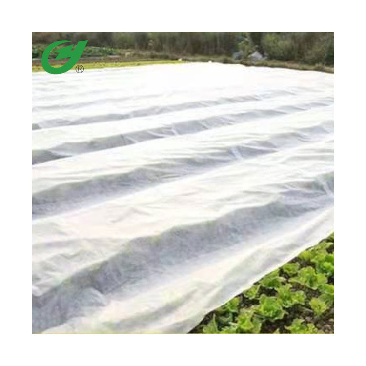 PLA Biodegradable Nonwoven Fabric for Agriculture Bag, Landscape Crop, Plant Cover and Fruit Protective Bag - 1