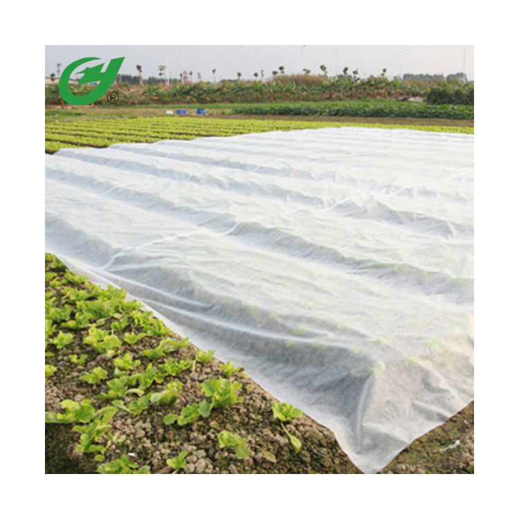 PLA Biodegradable Nonwoven Fabric for Agriculture Bag, Landscape Crop, Plant Cover and Fruit Protective Bag - 2 