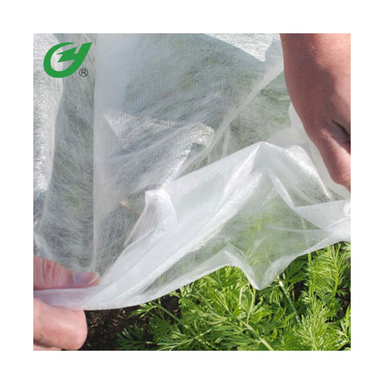 PLA Biodegradable Nonwoven Fabric for Agriculture Bag, Landscape Crop, Plant Cover and Fruit Protective Bag