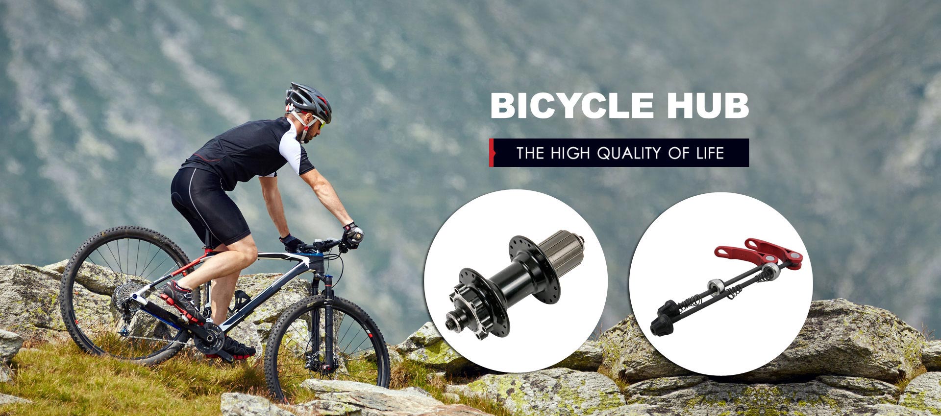 Wholesale Customized Bicycle Hub made in China