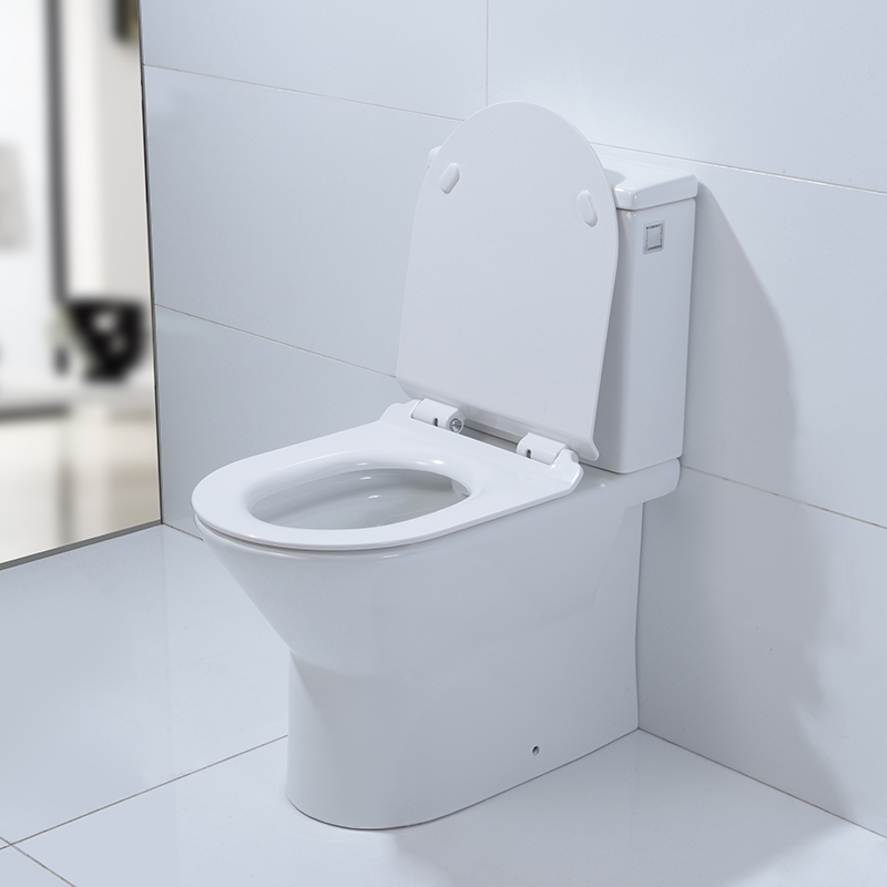 2-piece Rimless Full Back Against Wall Easy-clean Washdown Ceramic Toilet