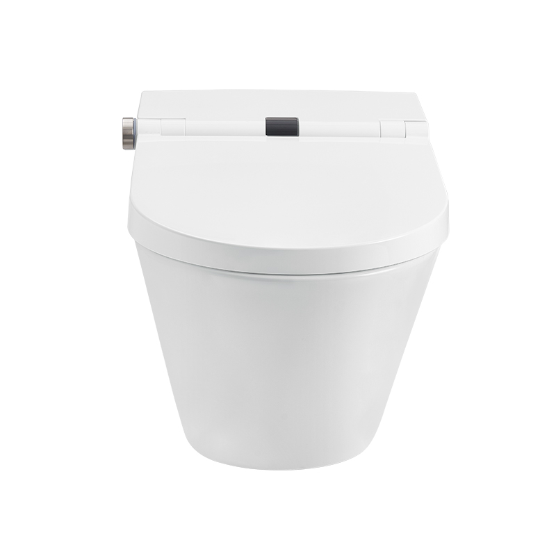 One Button Function Rimless Smart Toilet