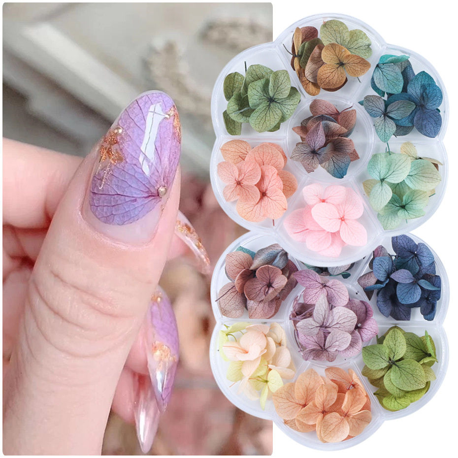 Colors Nail Dried Flowers