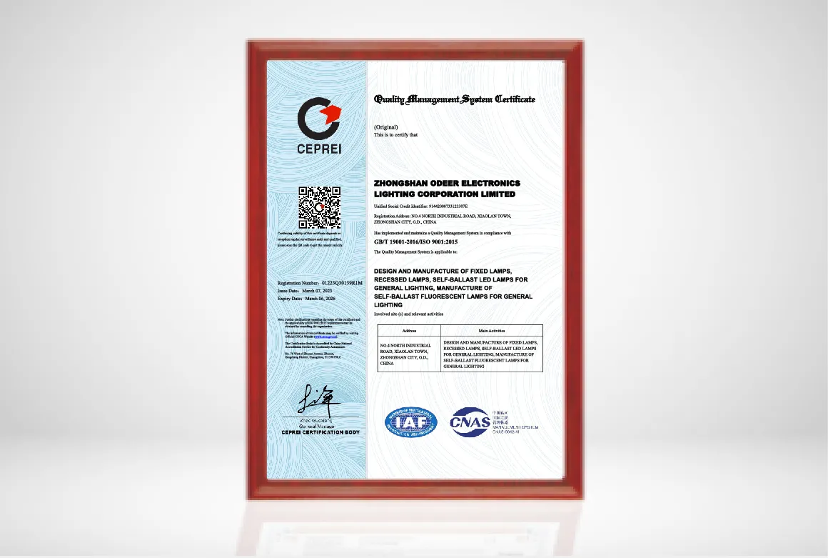 ISO9001 CERTIFICATE IS AWARDED BY ODEER