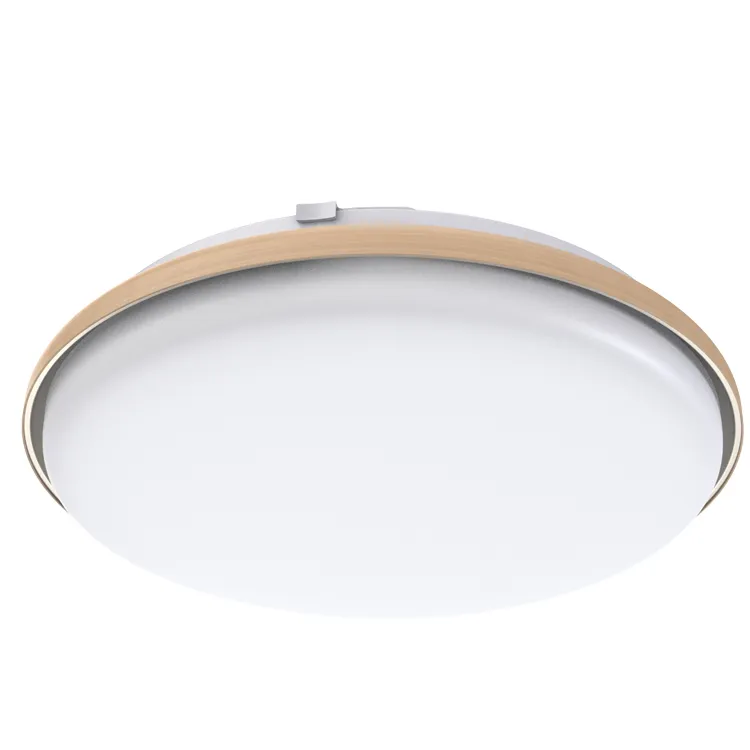 Elegant Ceiling Light