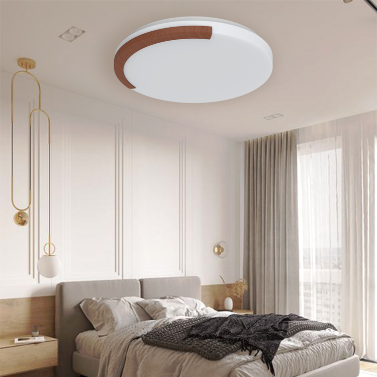UItra Thin Ceiling Light - 5
