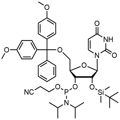 5'-O-(4,4-Dimethoxytrityl)-2'-O-[(tert-butyl)dimethylsilyl]uridine-3'-(2-cyanoethyl-N,N-diisopropyl)phosphoramidite