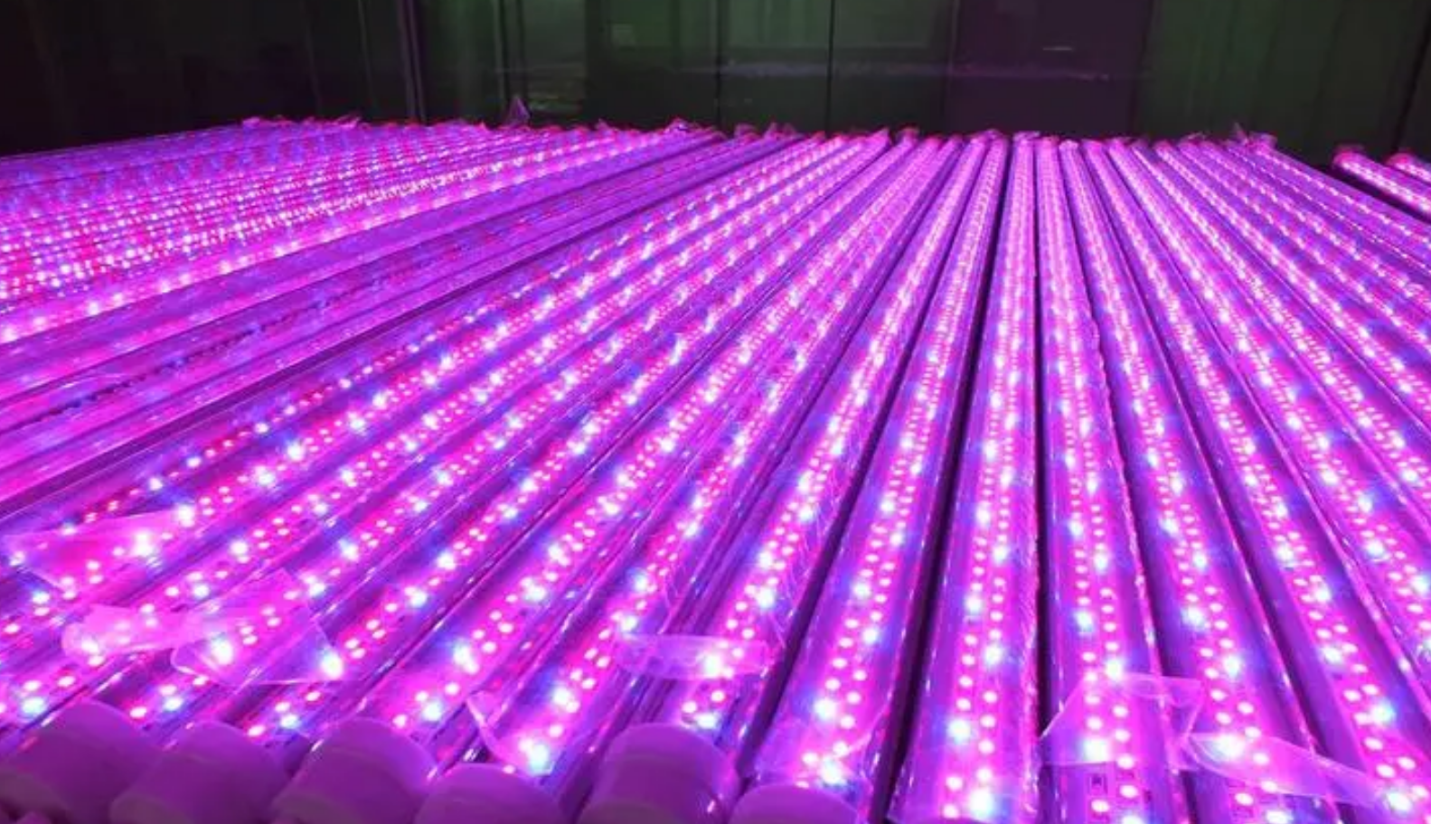 Пазарен анализ на китайската индустрия за LED осветление за растения през 2023 г
