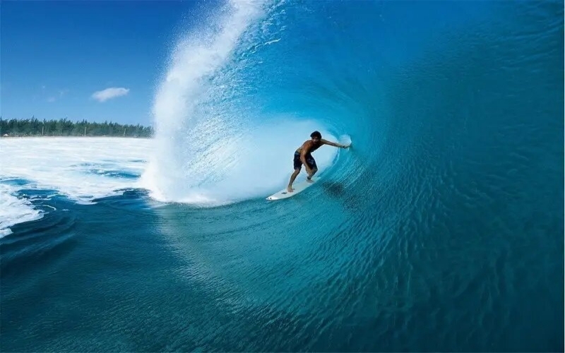 Rodzaje desek surfingowych