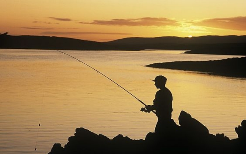 كيف تختار بكرة الصيد؟