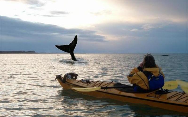 Kayak egiteko ikusi beharreko sei leku Sydneyn, Australian