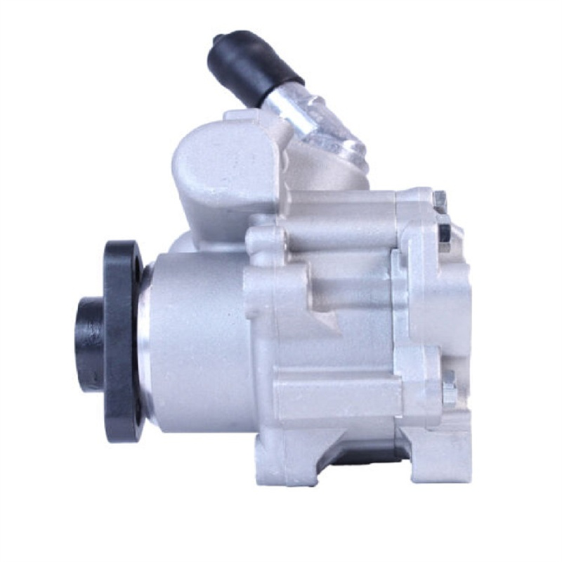 Power steering pump Professional producer OEM 32416768155  use for BMW