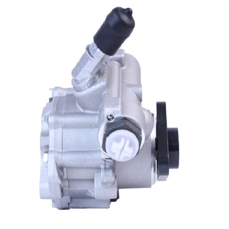 Power steering pump Professional producer OEM 32416768155  use for BMW