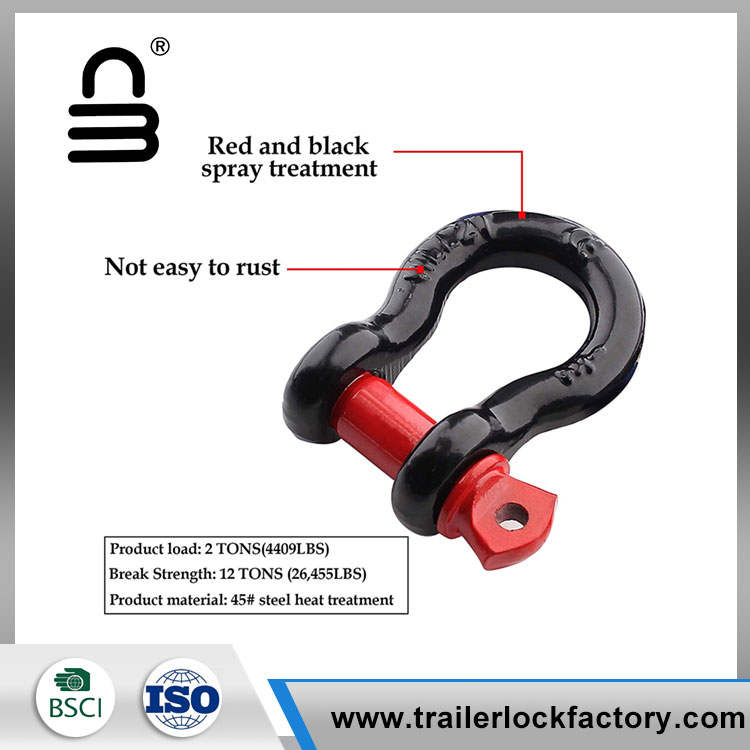 D Ring Shackle - 5 