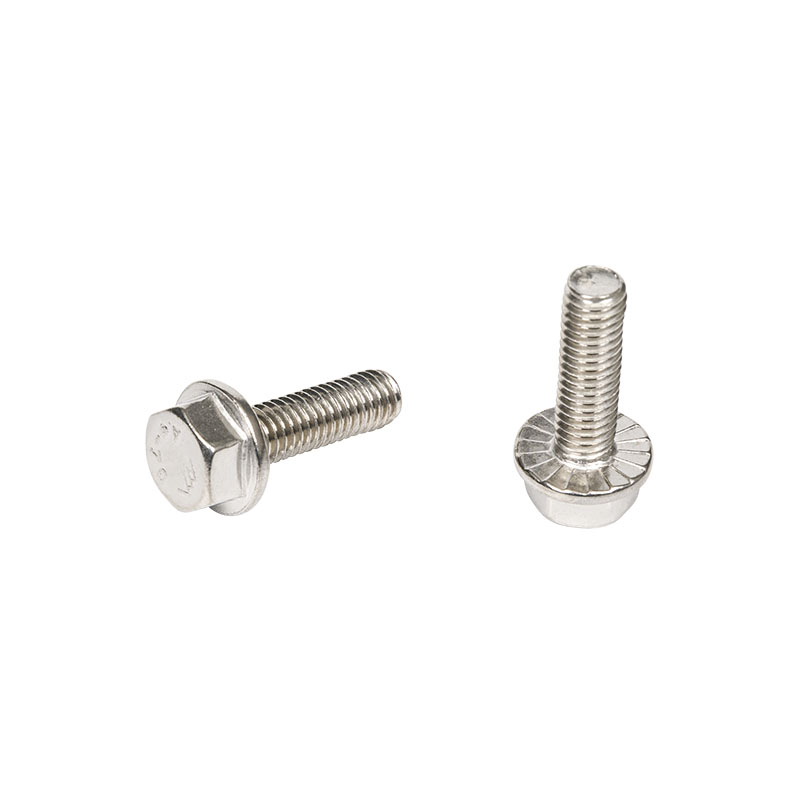 Stainless Steel Hex Serrated Flange Screws Flange Bolts