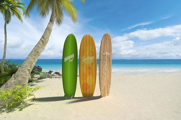 Basic knowledge and purchase of surfboard