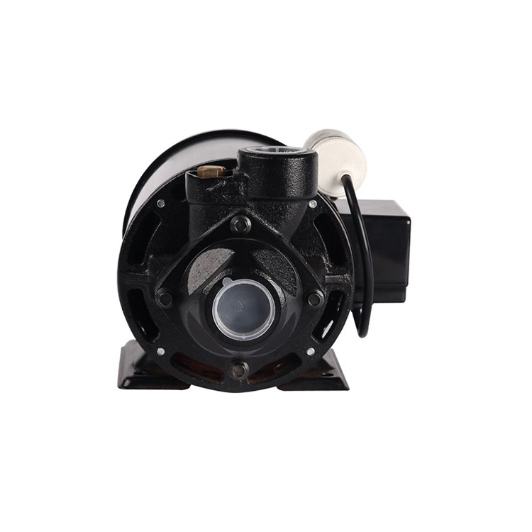 Cast Iron Peripheral Water Pump