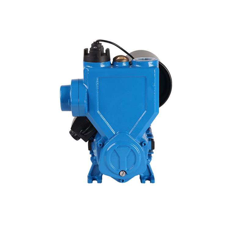 Domestic Automatic Pressure Booster Pumps