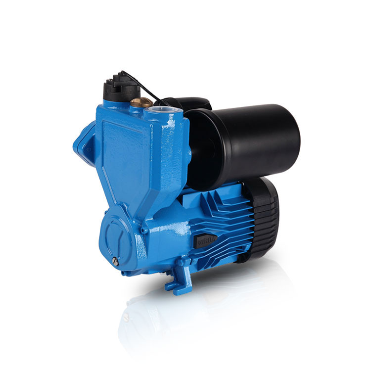 Domestic Automatic Pressure Booster Pumps