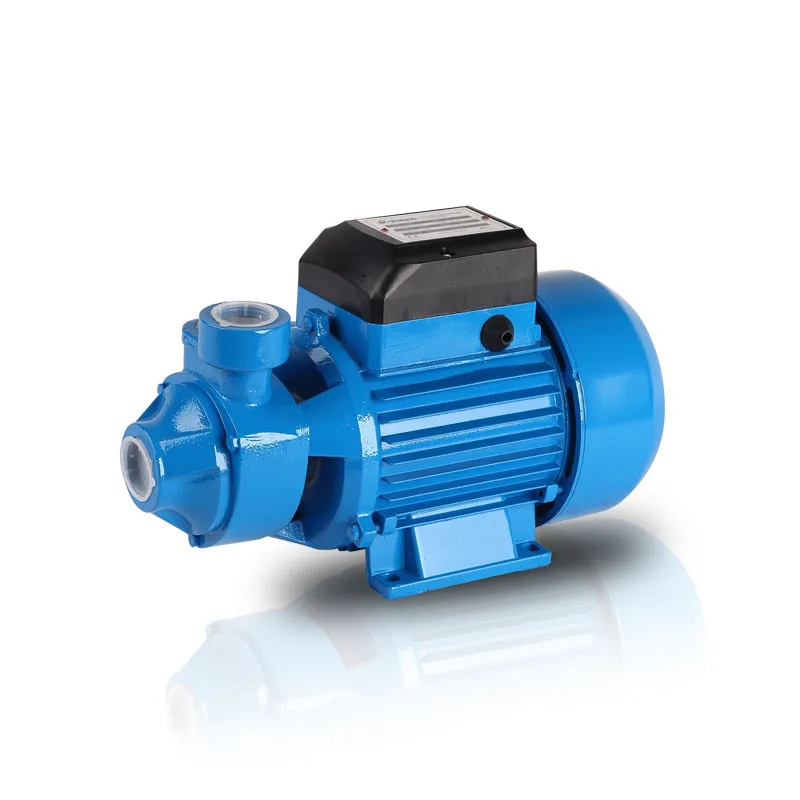 Elektrisk perifer renvattenpump