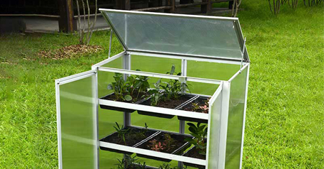 The effect of the cold frame