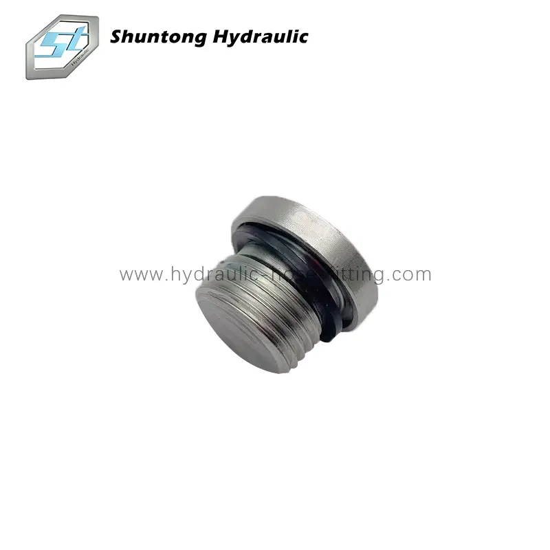 BSP Male Captive Seal Hollow Hex Plug