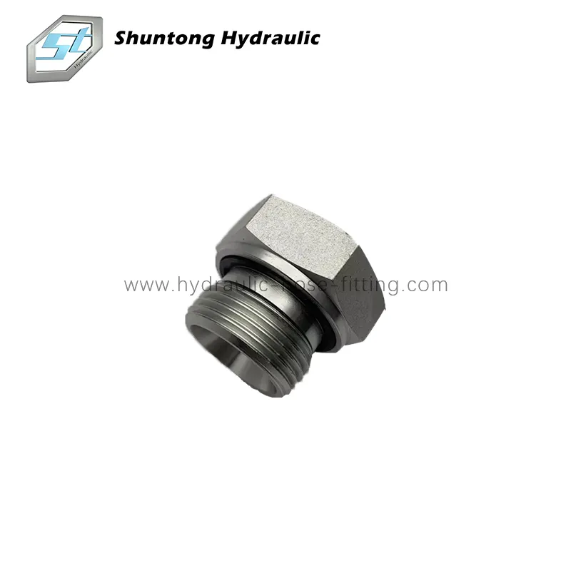 BSP Hane Captive Seal Plug