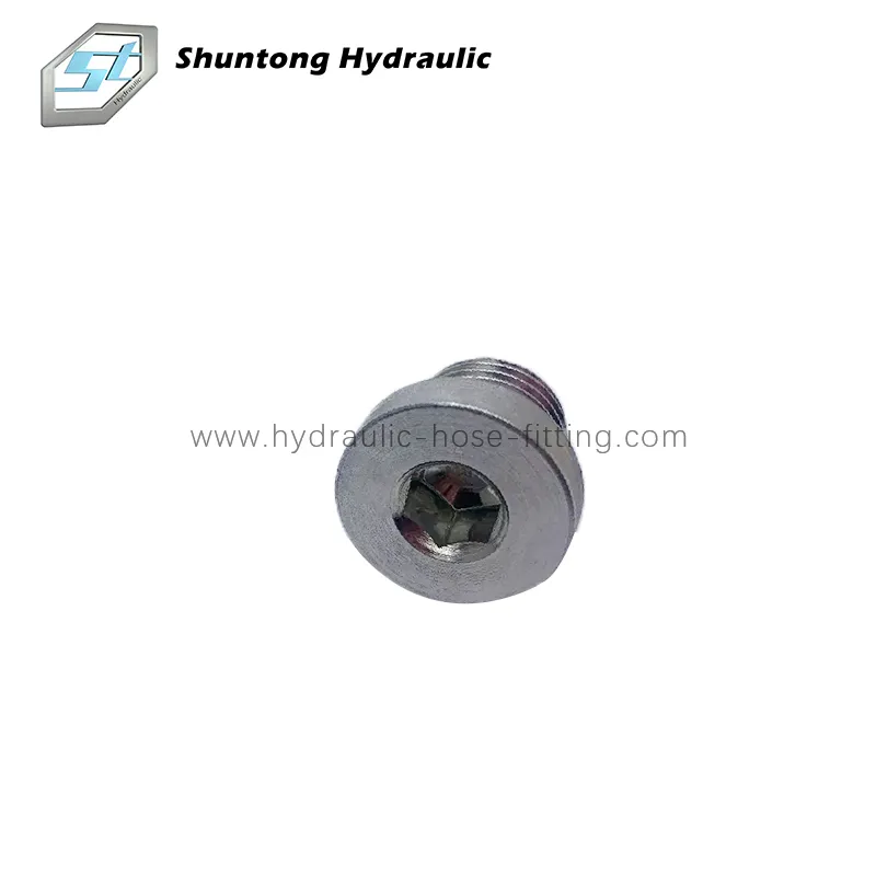 Metrisk hane Captive Seal Hollow Hex Plug