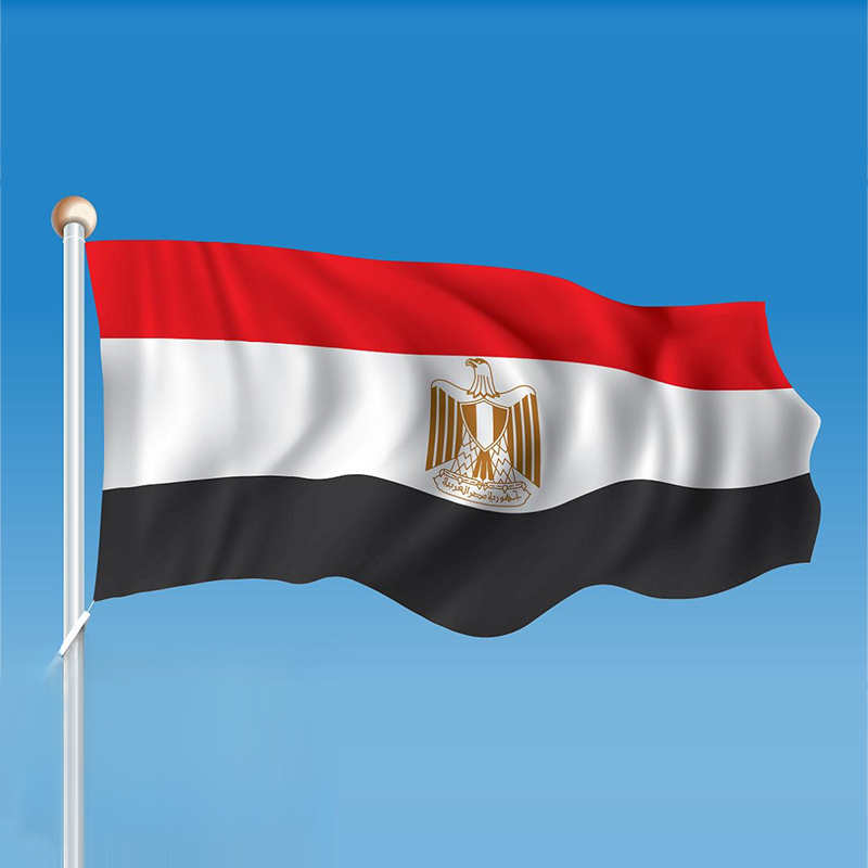 Egiptoko hidrogenoaren lege proiektuak %55eko zerga-kreditua proposatzen du hidrogeno berdearen proiektuetarako