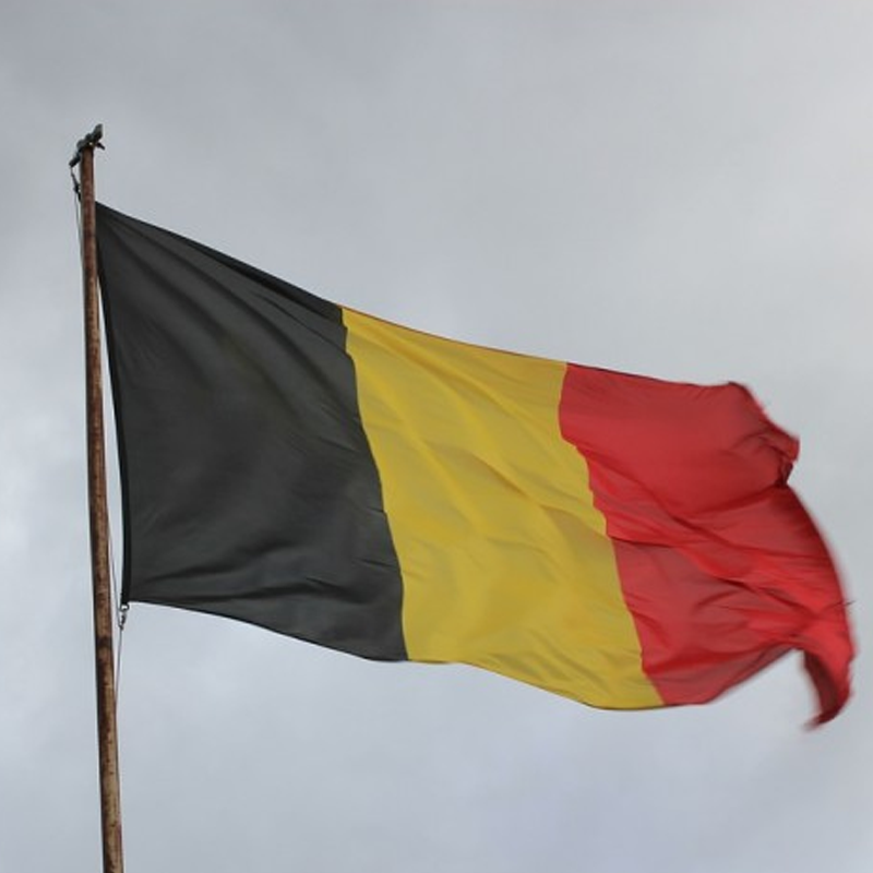 Belgien har godkänt 250 miljoner euro i offentliga medel för att bygga ett rikstäckande vätgasledningsnät till Tyskland