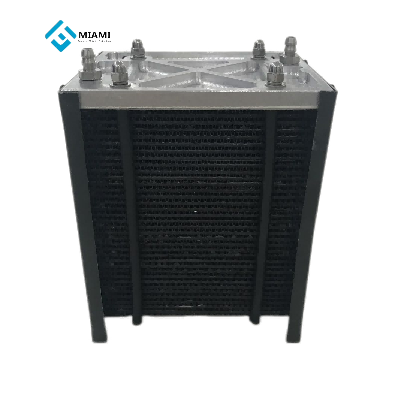 Портативный водородный топливный элемент 100 Вт Pemfc Stack Система стека водородных топливных элементов