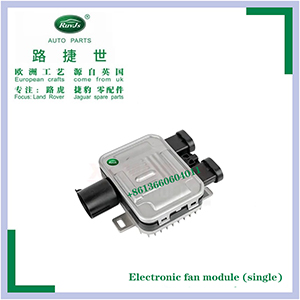 Single electronic fan module
