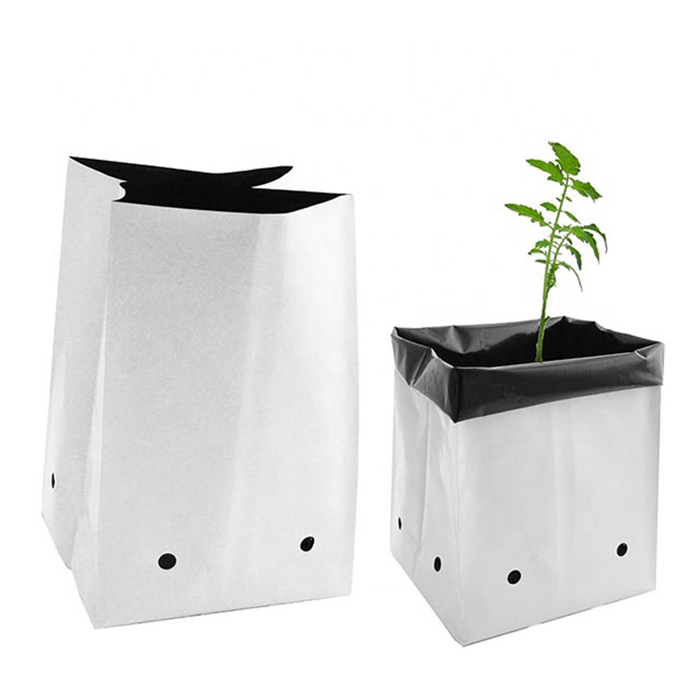 Bolsa de vivero de plantas en blanco y negro